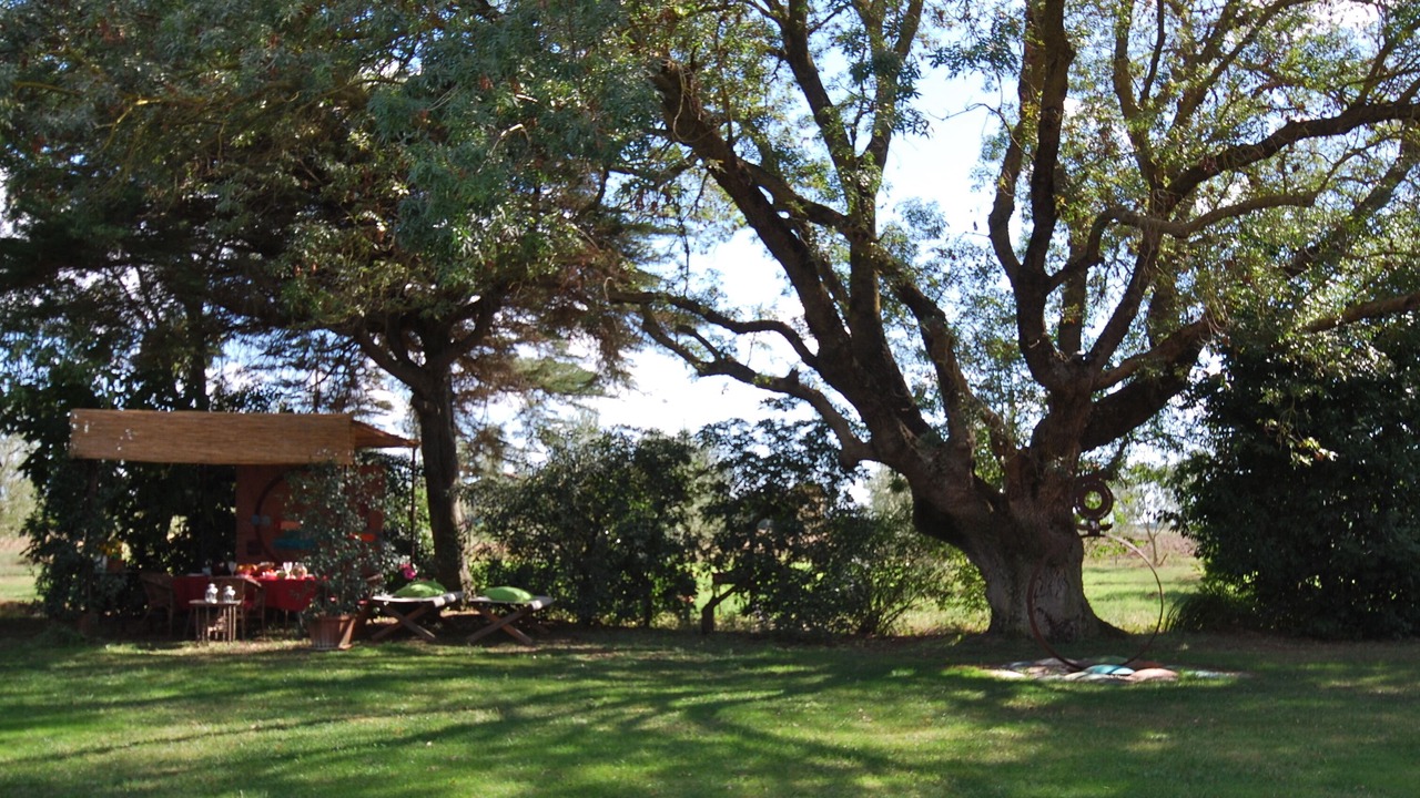 Photo of Outdoor in Montorsaio