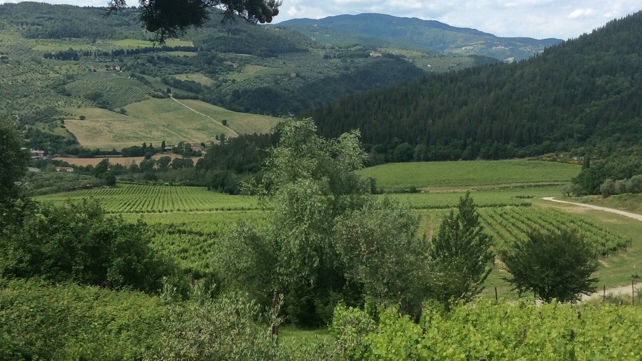 Photo of Outdoor in Twist