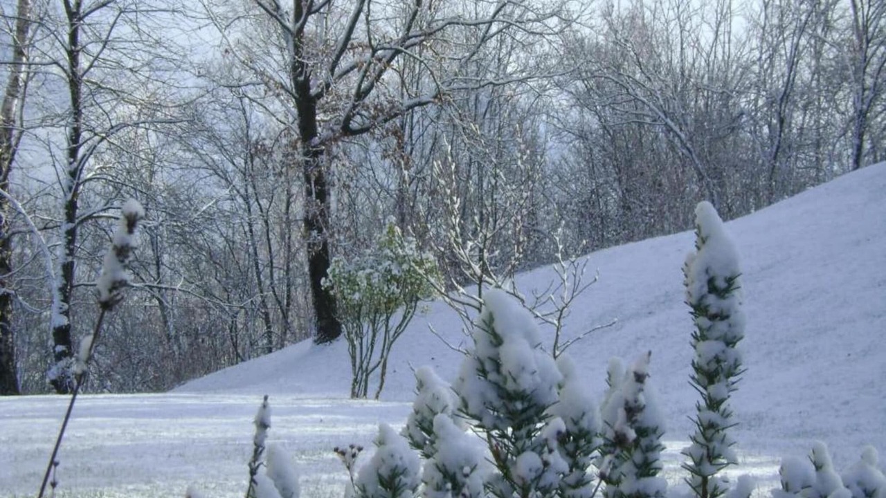 Photo of Others in Ponte nelle Alpi