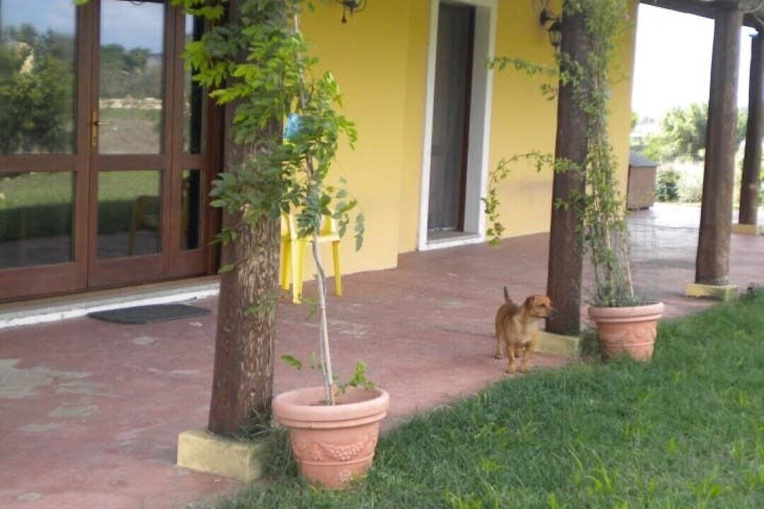 Photo of Outdoor in Massama