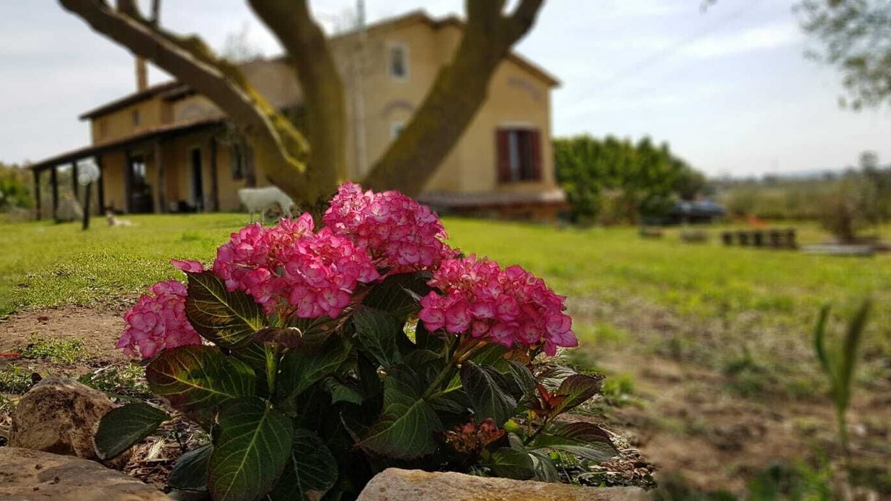 Photo of Outdoor in Massama