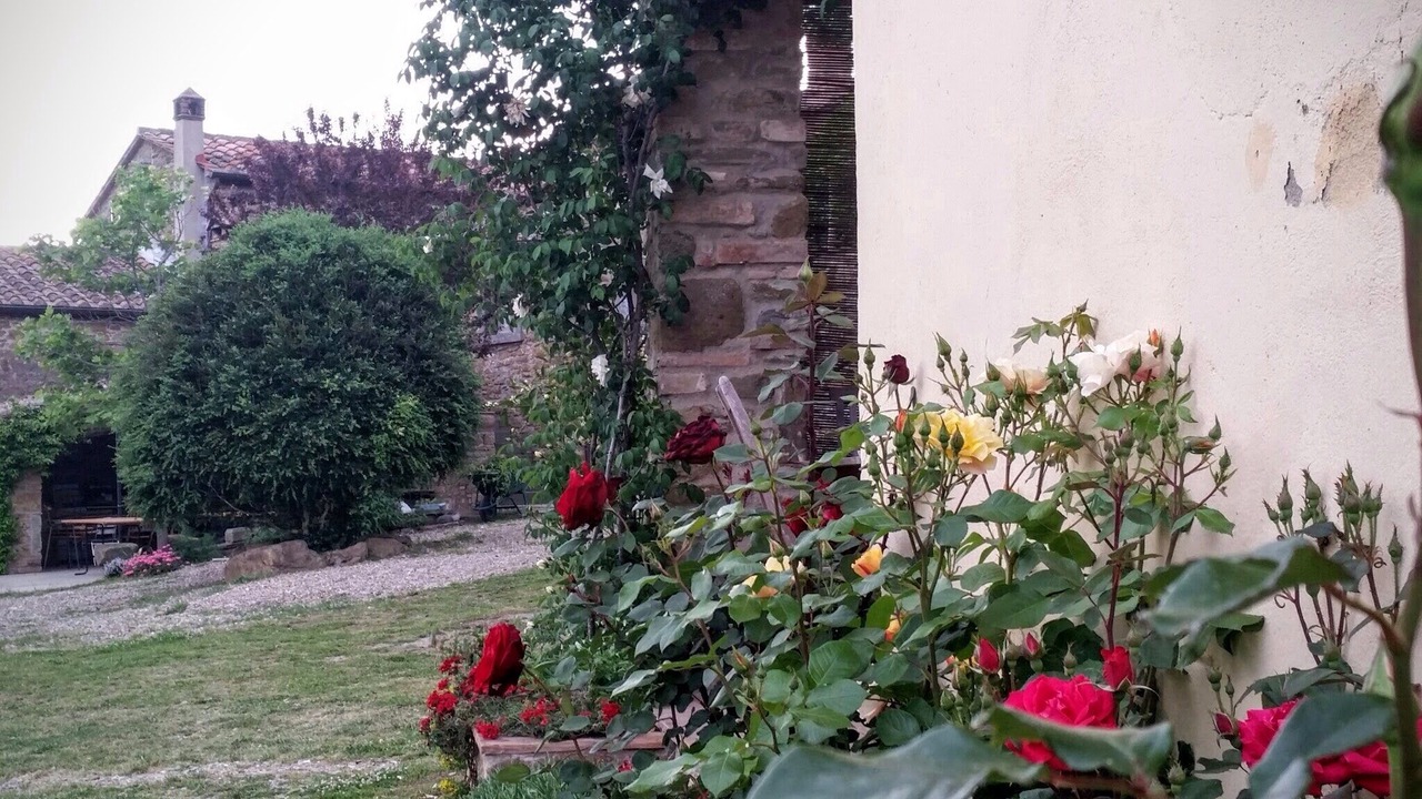 Photo of Outdoor in San Pietro a Cegliolo