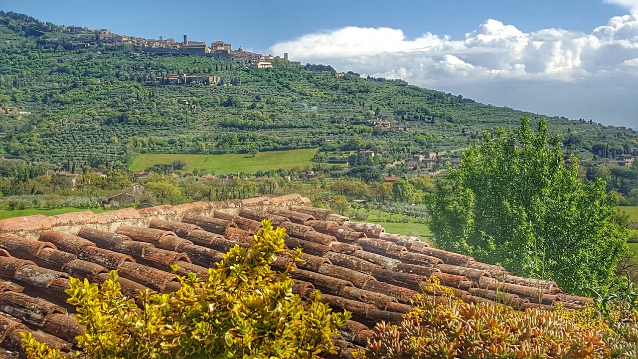 Photo of Outdoor in San Pietro a Cegliolo