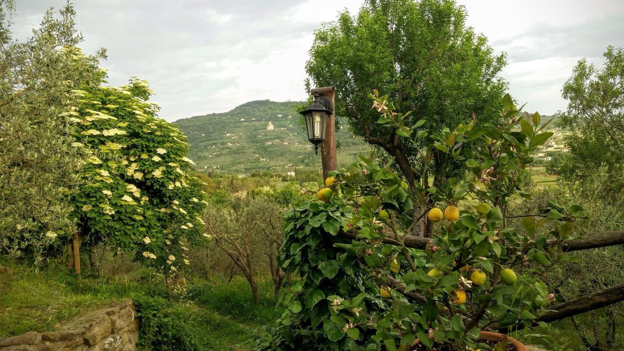 Photo of Outdoor in San Pietro a Cegliolo