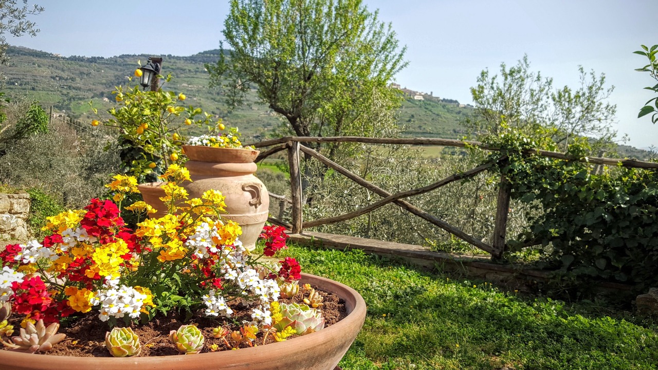 Photo of Outdoor in San Pietro a Cegliolo