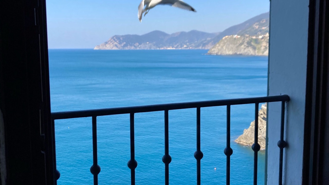 Photo of Others in Manarola