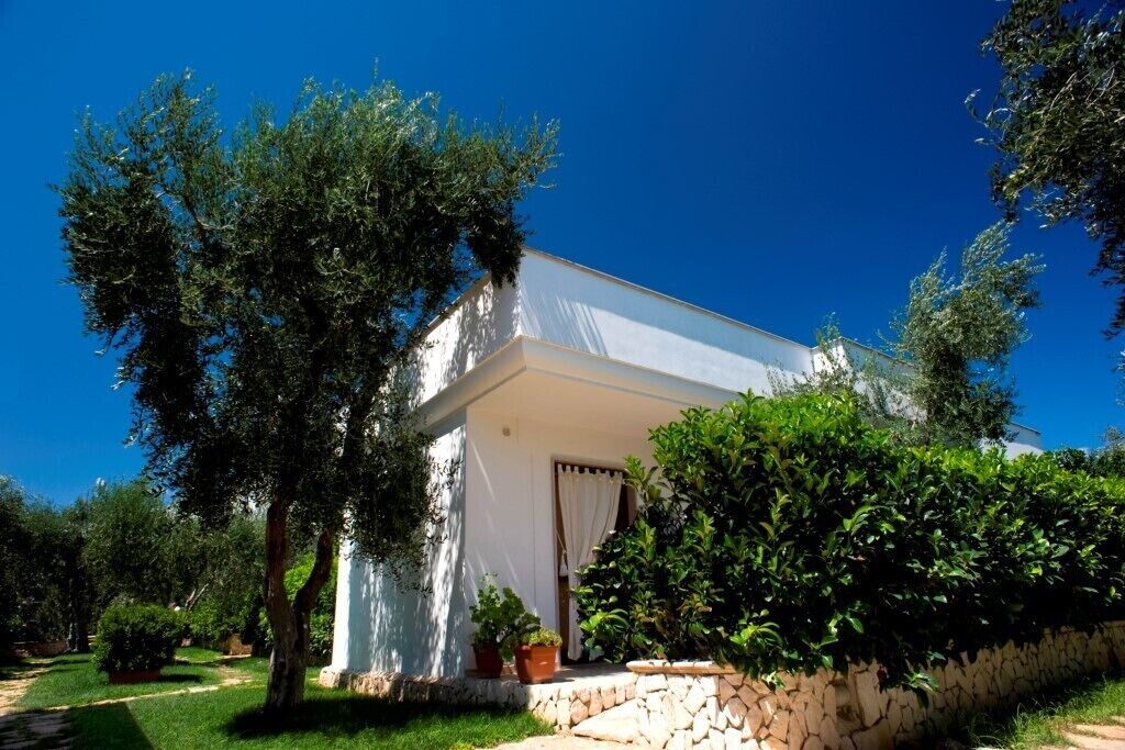 Photo of Outdoor in Mattinata