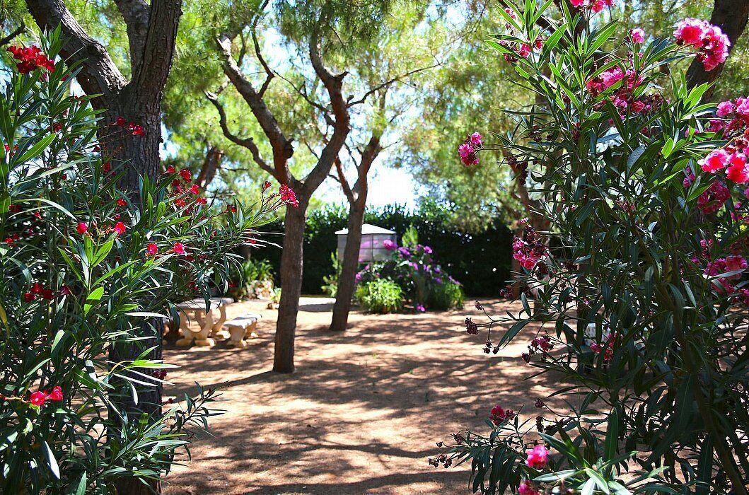 Photo of Outdoor in Fasano