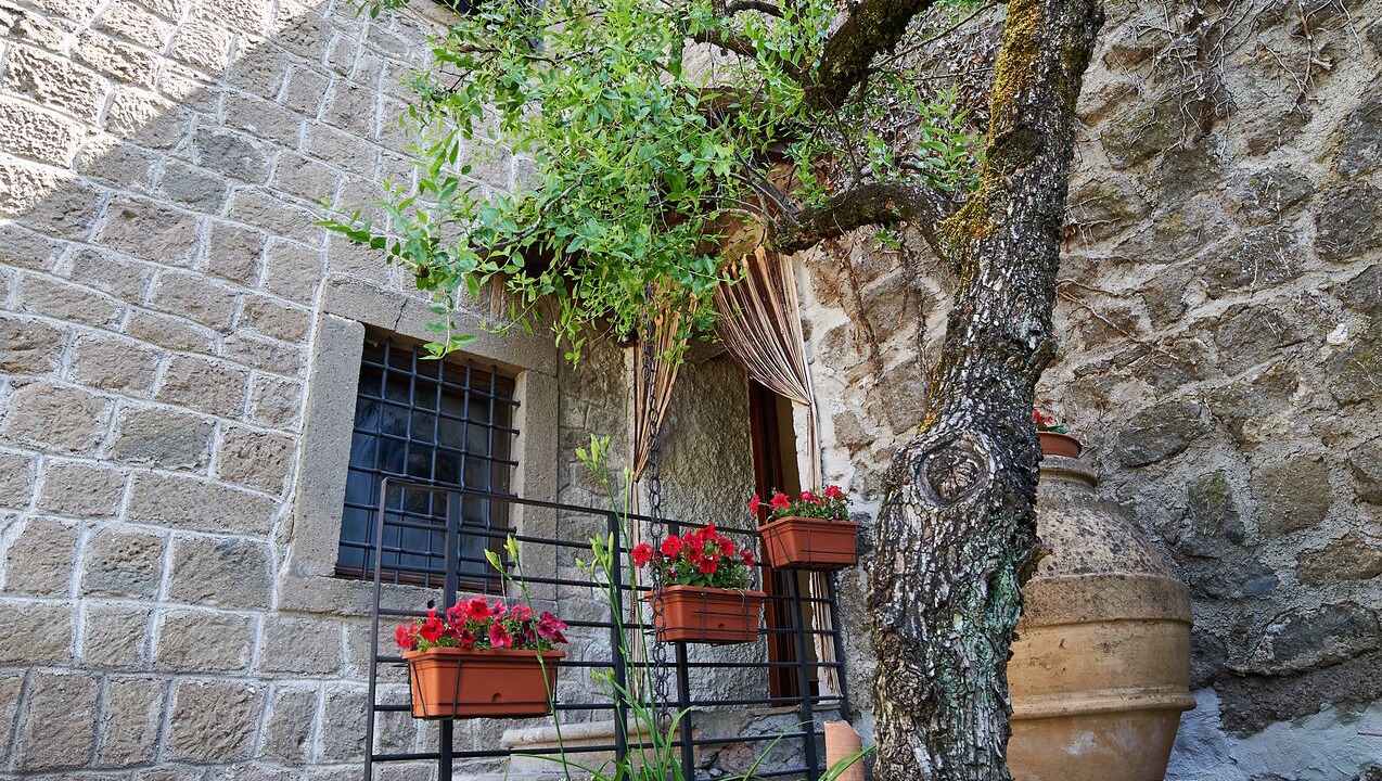Photo of Outdoor in Montefiascone