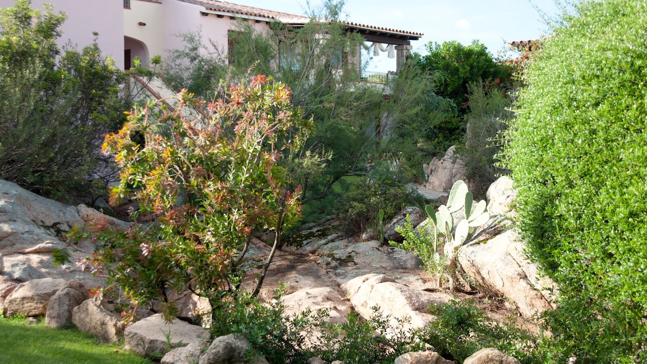 Photo of Outdoor in Monte Petrosu