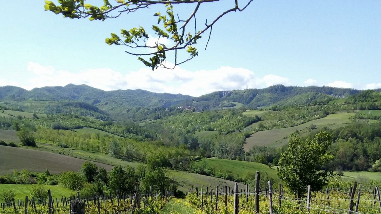 Photo of Others in Montemarzino