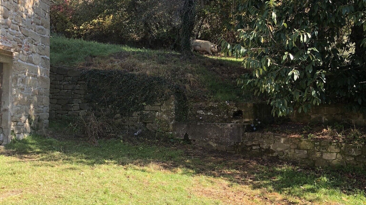 Photo of Outdoor in Londa