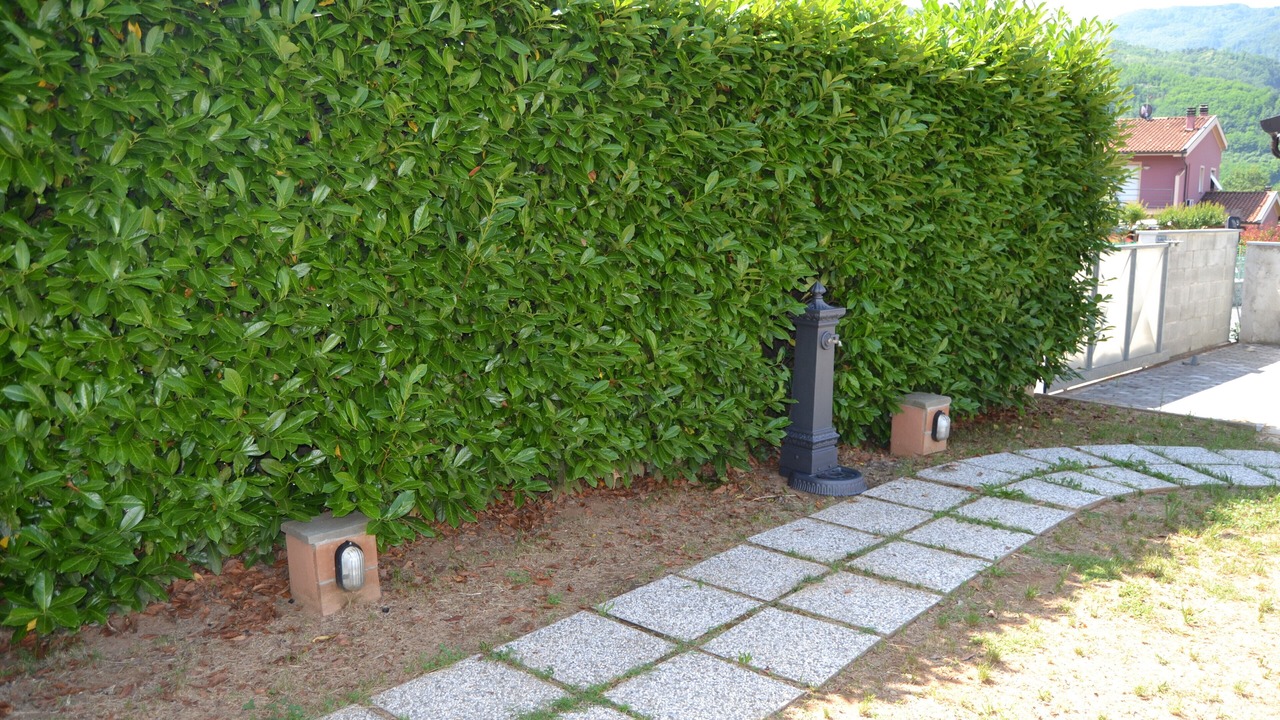 Photo of Outdoor in Piano di Coreglia