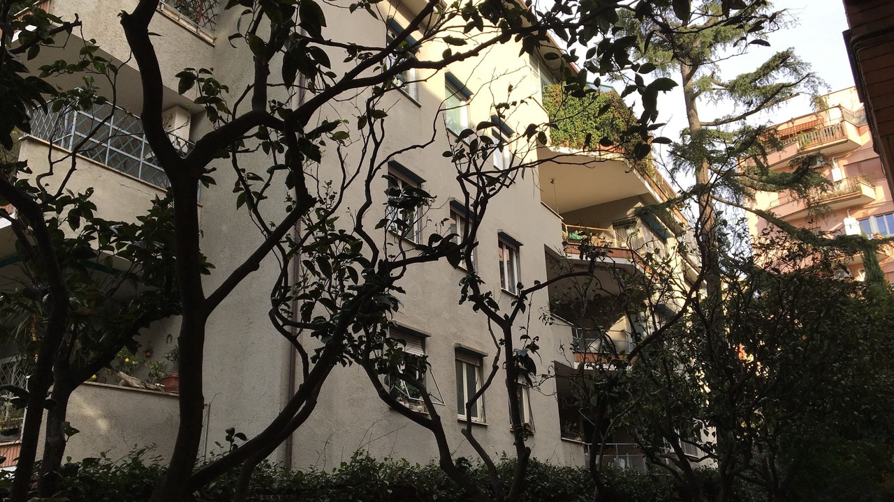 Photo of Outdoor in Monte Sacro