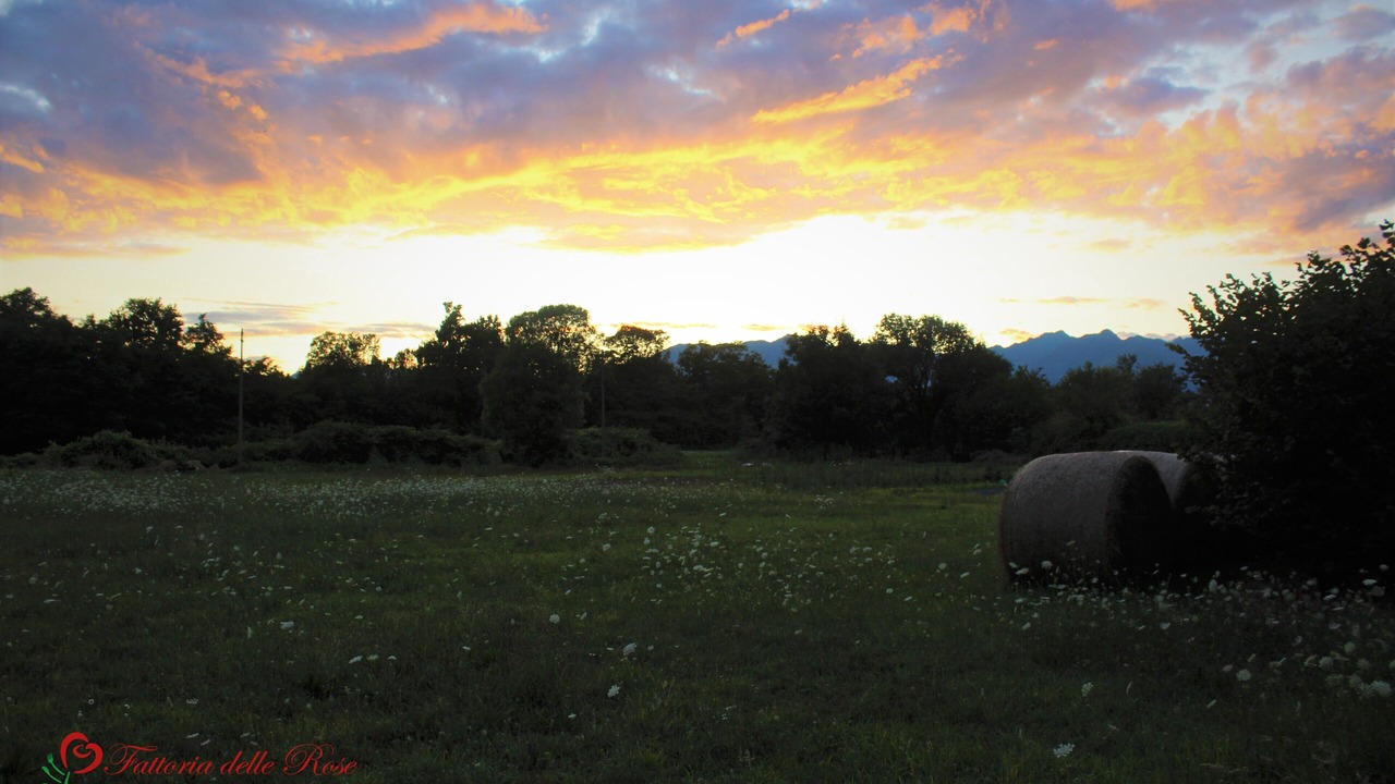 Photo of Outdoor in Salussola