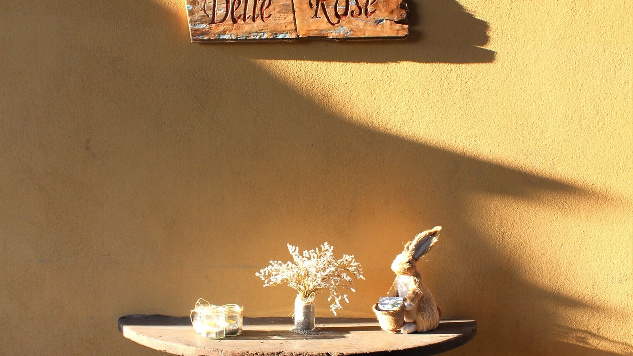 Photo of Outdoor in Salussola