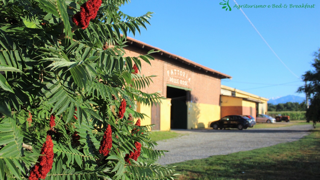 Photo of Outdoor in Salussola