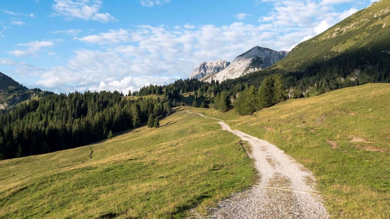 Photo of Others in Bleggio Superiore