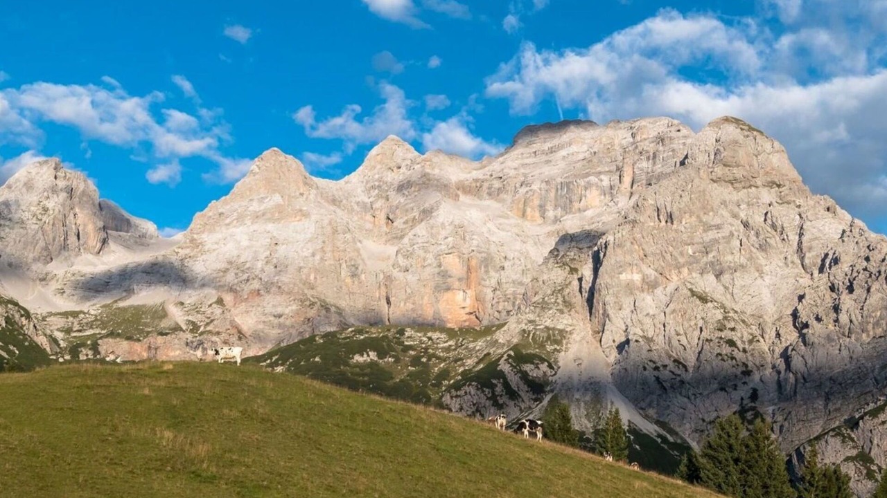 Photo of Others in Bleggio Superiore