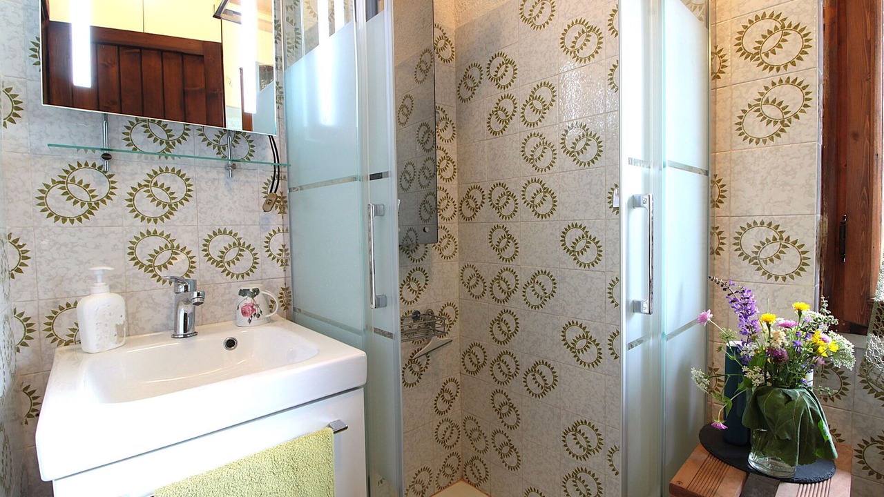 Photo of Bathroom in Nevegal
