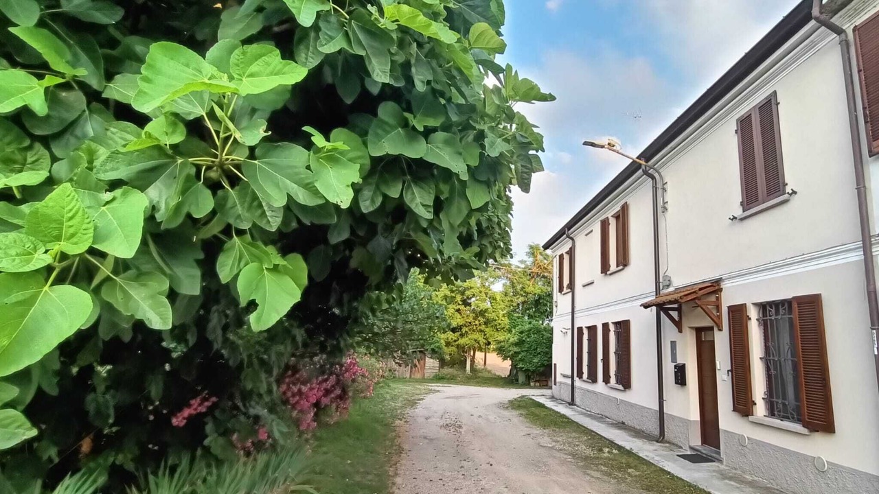 Photo of Outdoor in Carbonara al Ticino