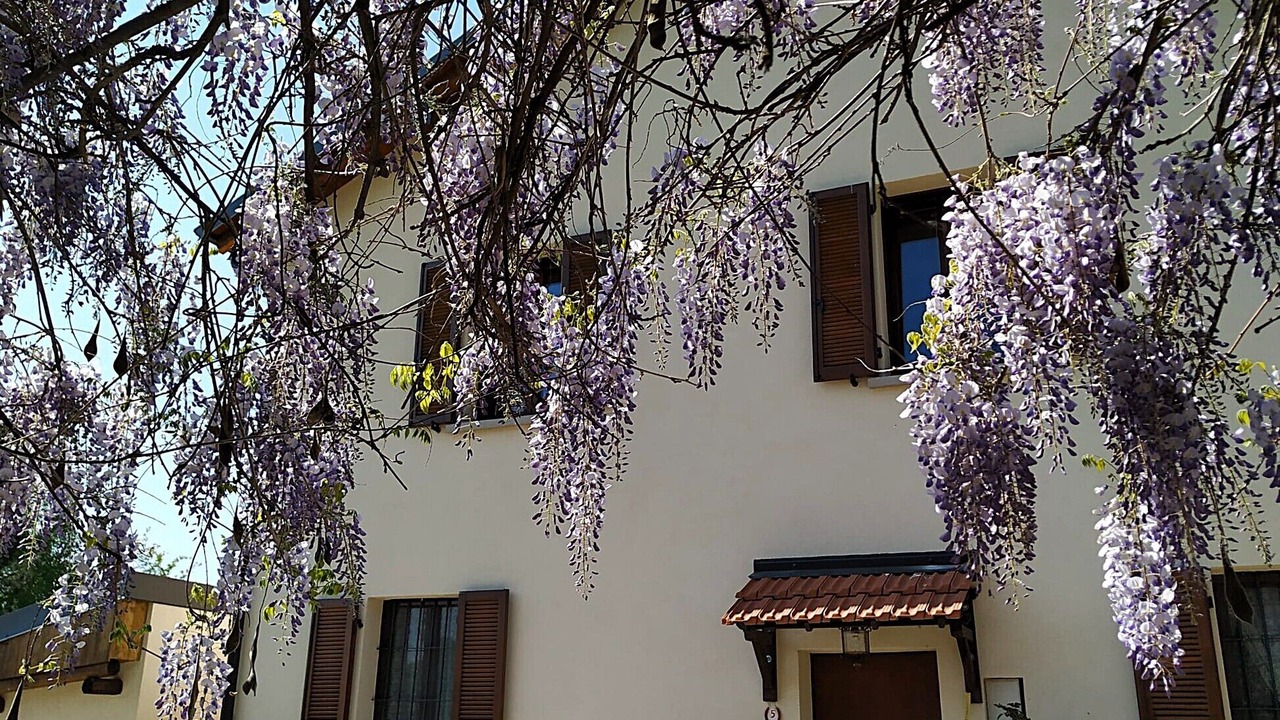 Photo of Outdoor in Carbonara al Ticino