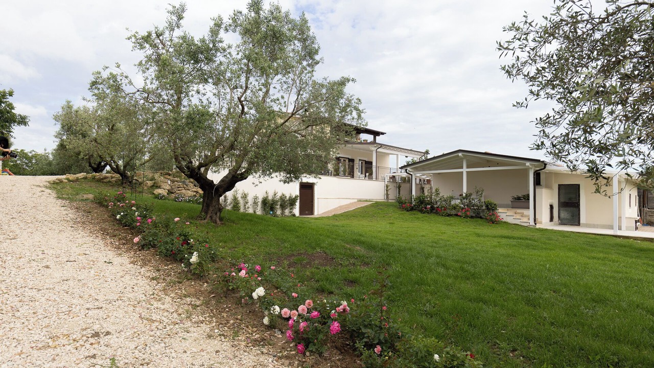 Photo of Outdoor in Tragliatella