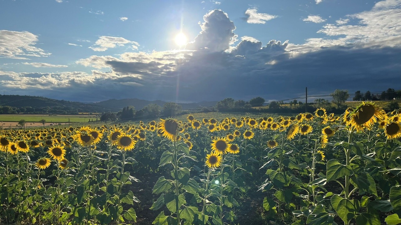 Photo of Others in San Biagio della Valle