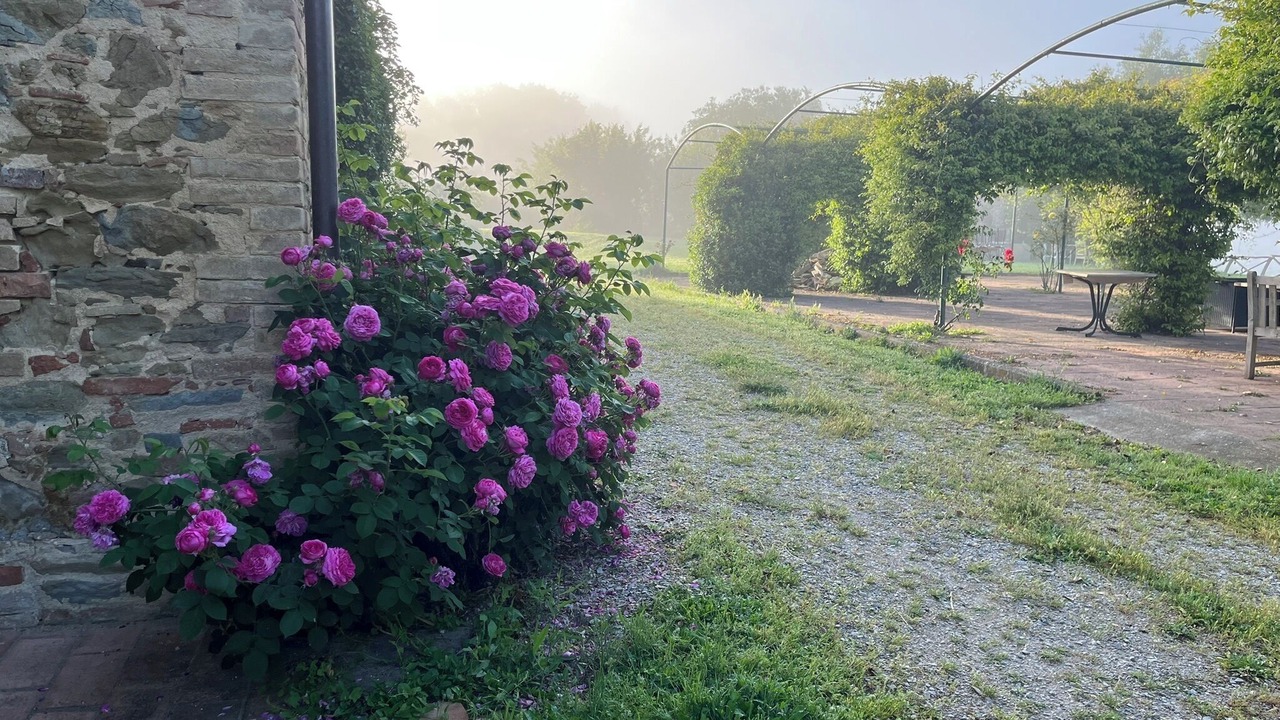 Photo of Outdoor in San Biagio della Valle