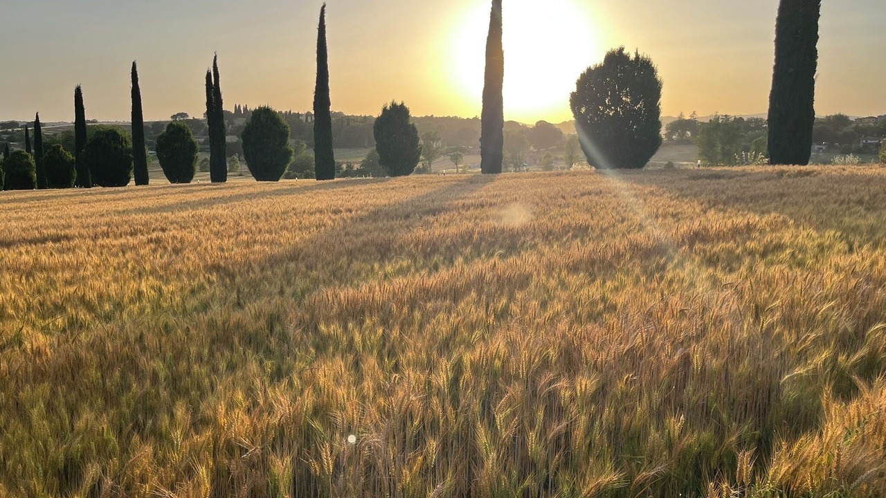 Photo of Others in San Biagio della Valle