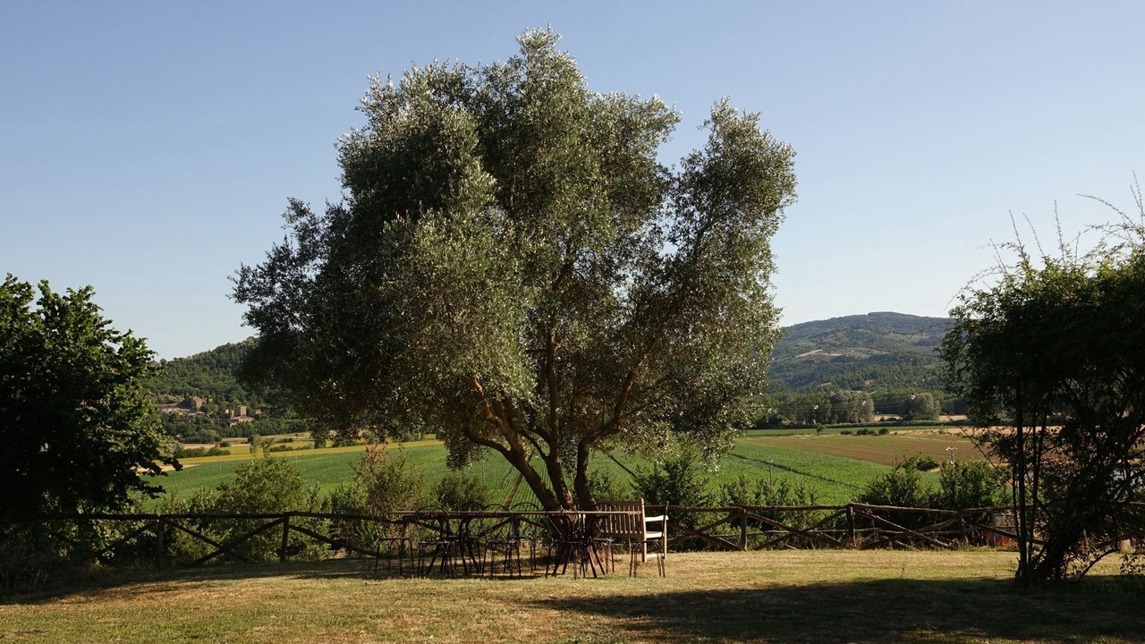 Photo of Outdoor in San Biagio della Valle