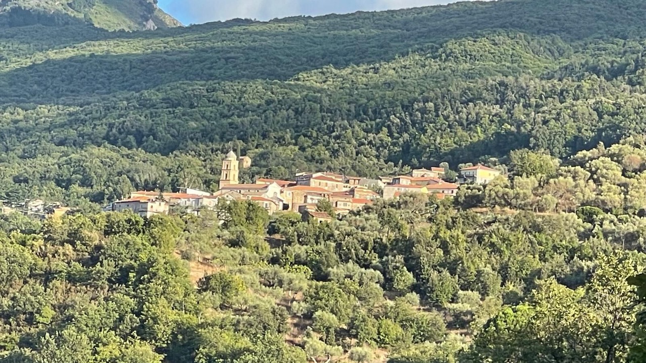 Photo of Others in Perdifumo