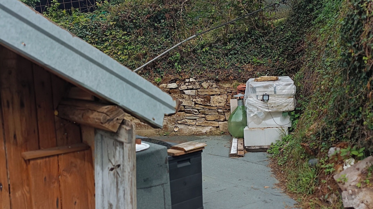 Photo of Outdoor in Alpago