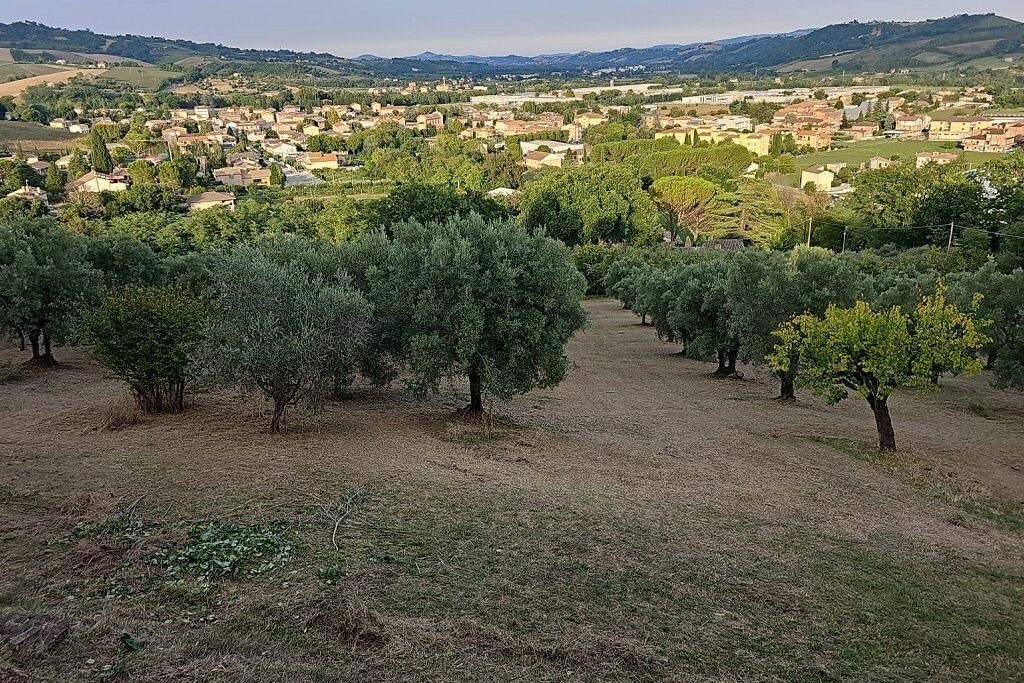 Photo of Others in Falerone