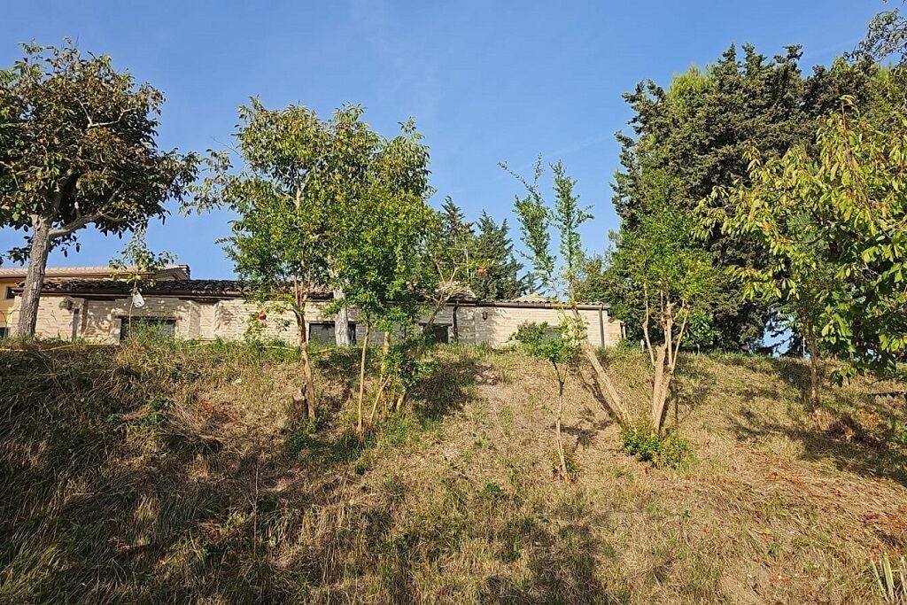 Photo of Outdoor in Falerone