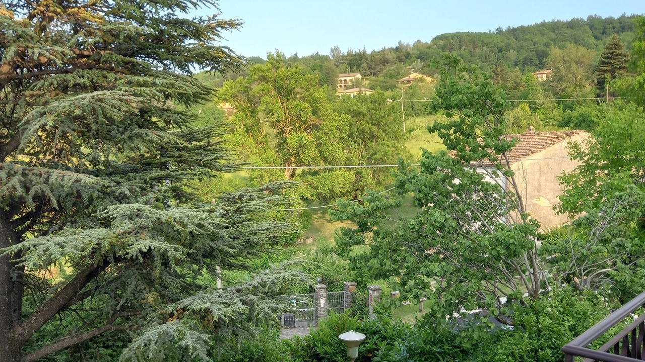 Photo of Outdoor in Piamaggio
