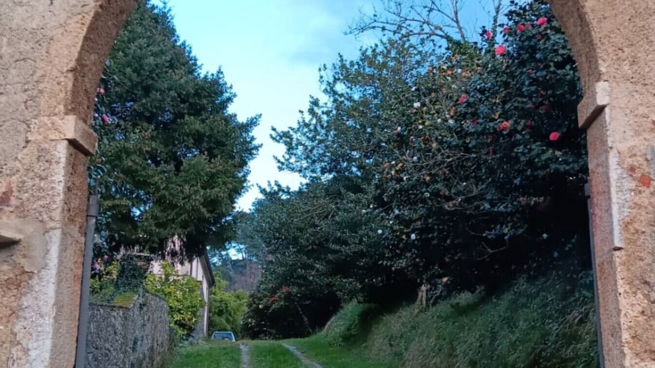 Photo of Outdoor in Nocchi
