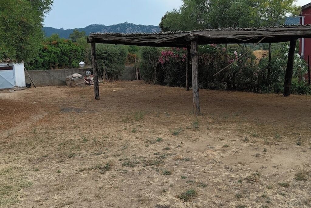 Photo of Others in Sa Castangia