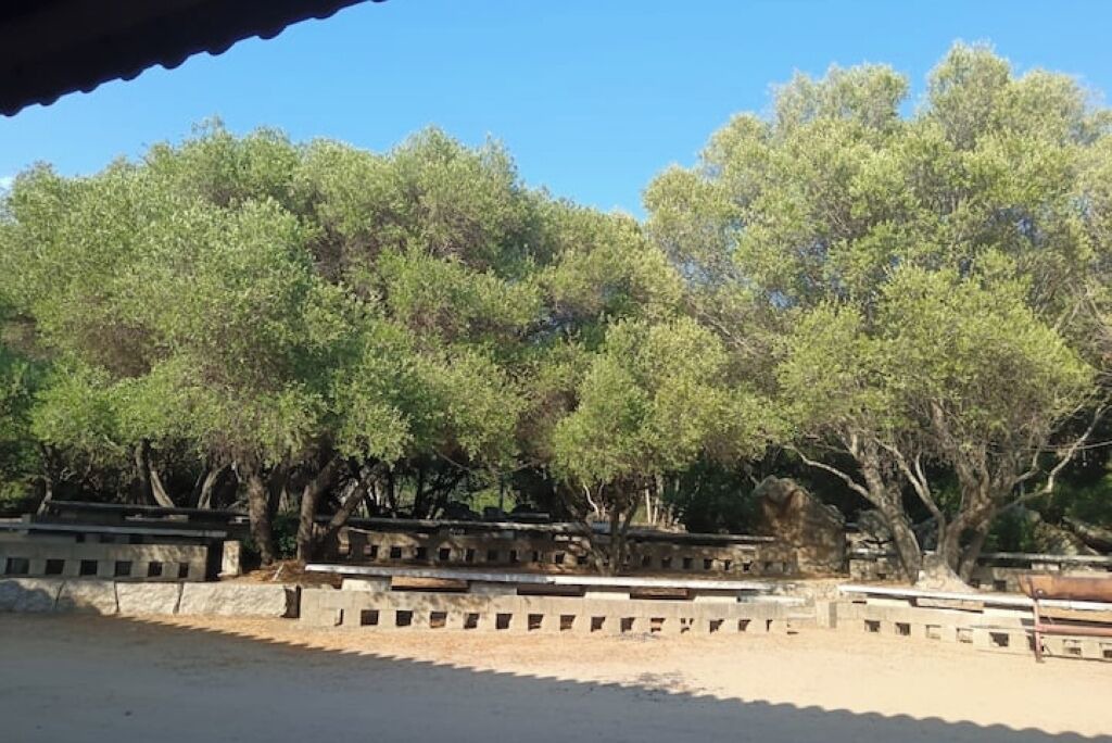 Photo of Others in Sa Castangia