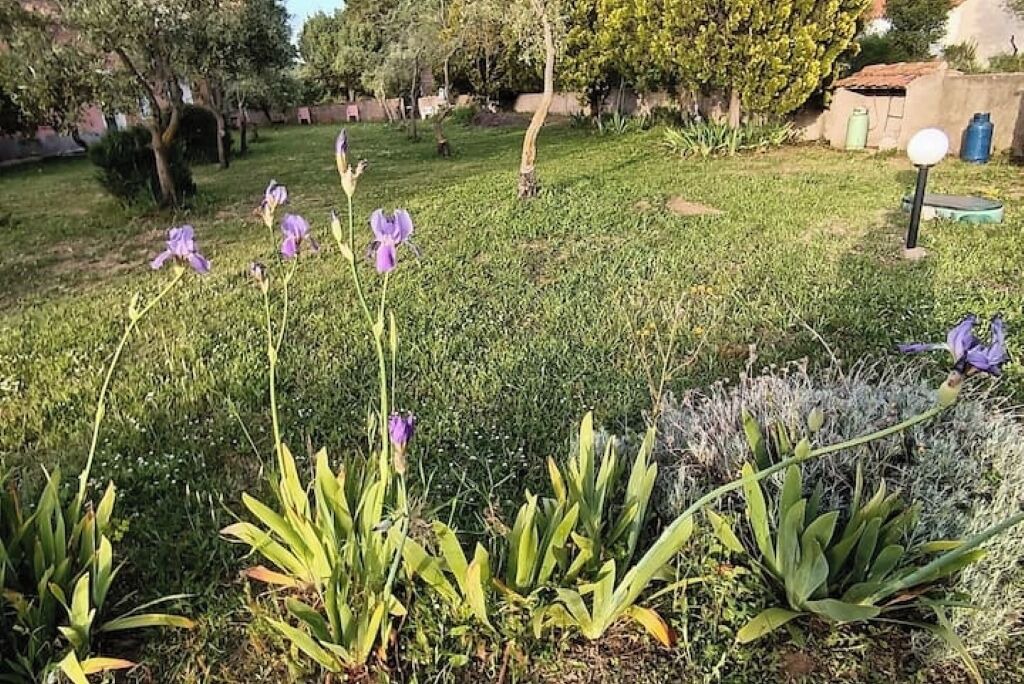 Photo of Outdoor in Sa Castangia