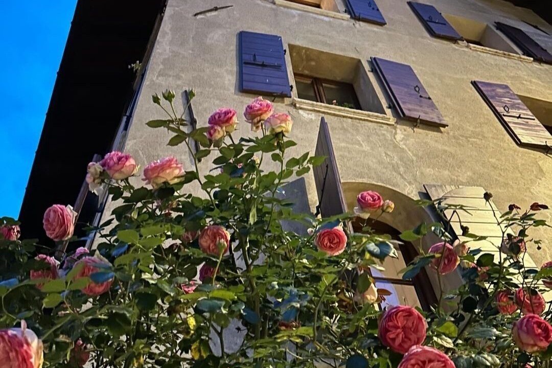 Photo of Outdoor in Feltre