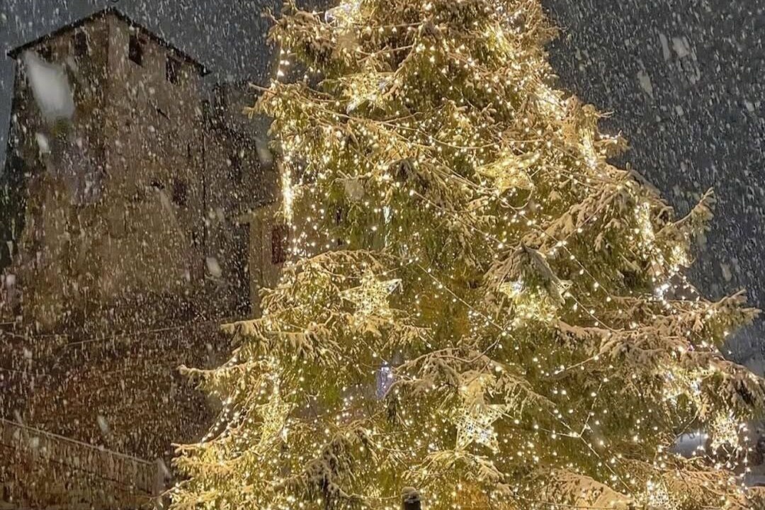 Photo of Others in Feltre