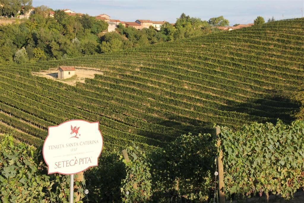 Photo of Others in Grazzano Badoglio