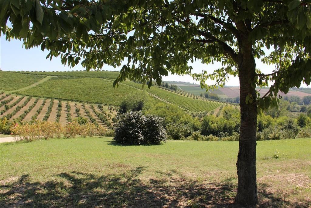 Photo of Others in Grazzano Badoglio