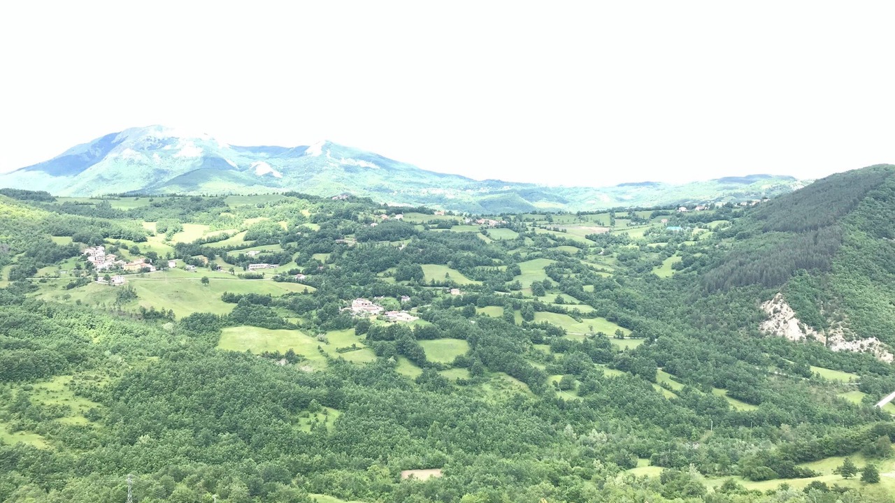 Photo of Others in Primaore