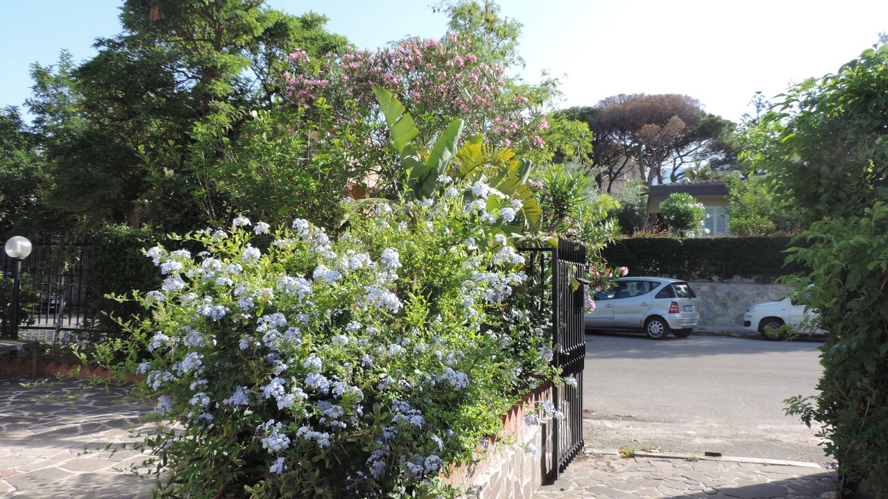 Photo of Outdoor in Partanna