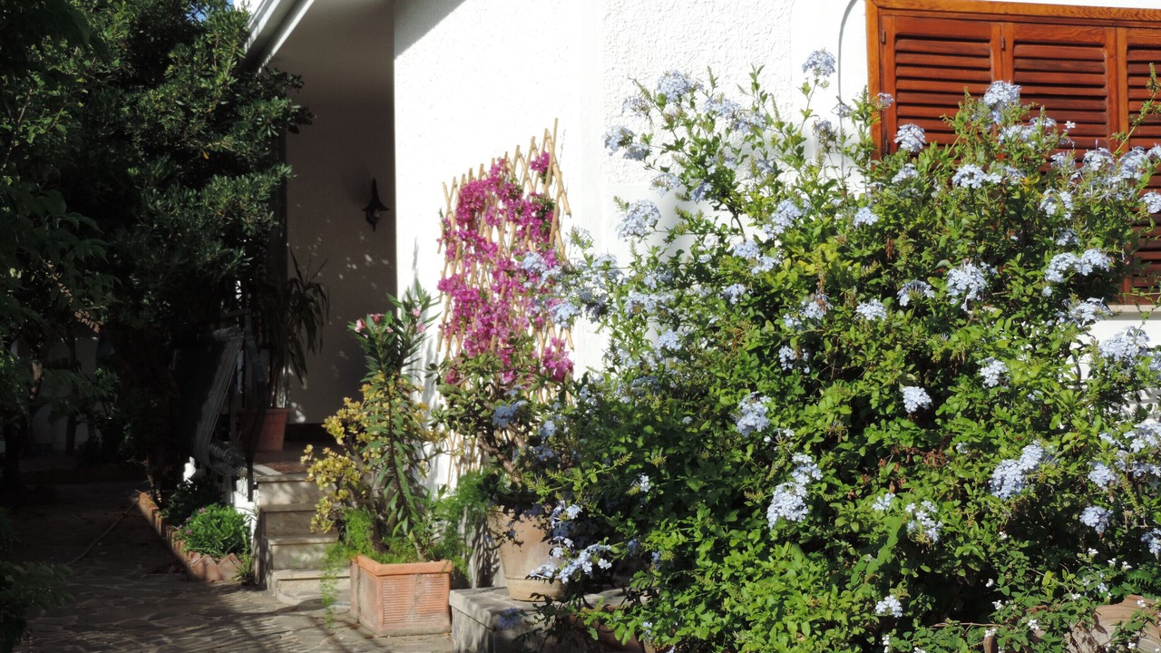 Photo of Outdoor in Partanna