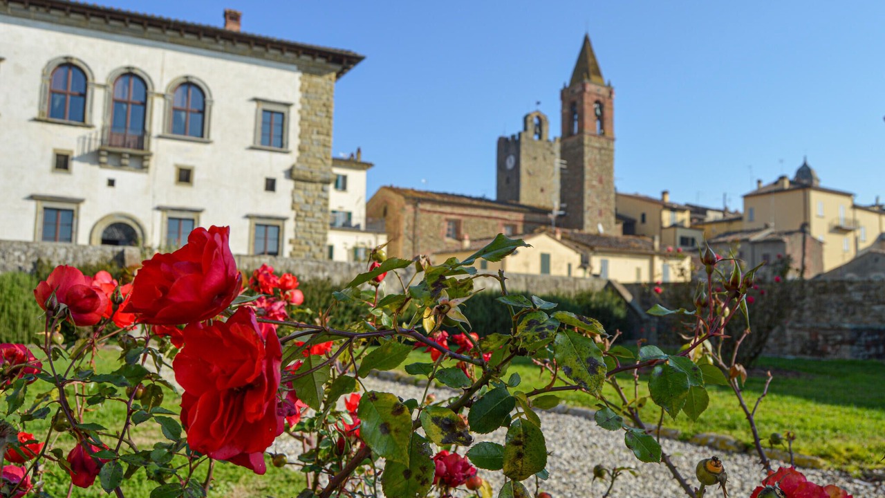 Photo of Others in Alberoro