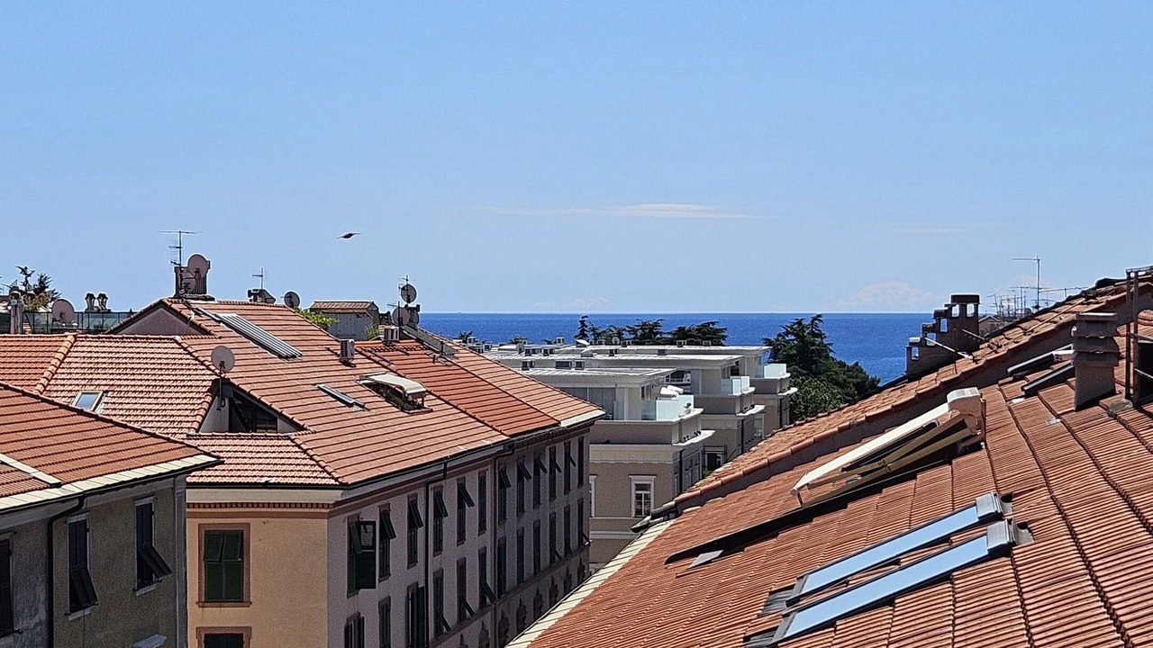 Photo of Others in Savona