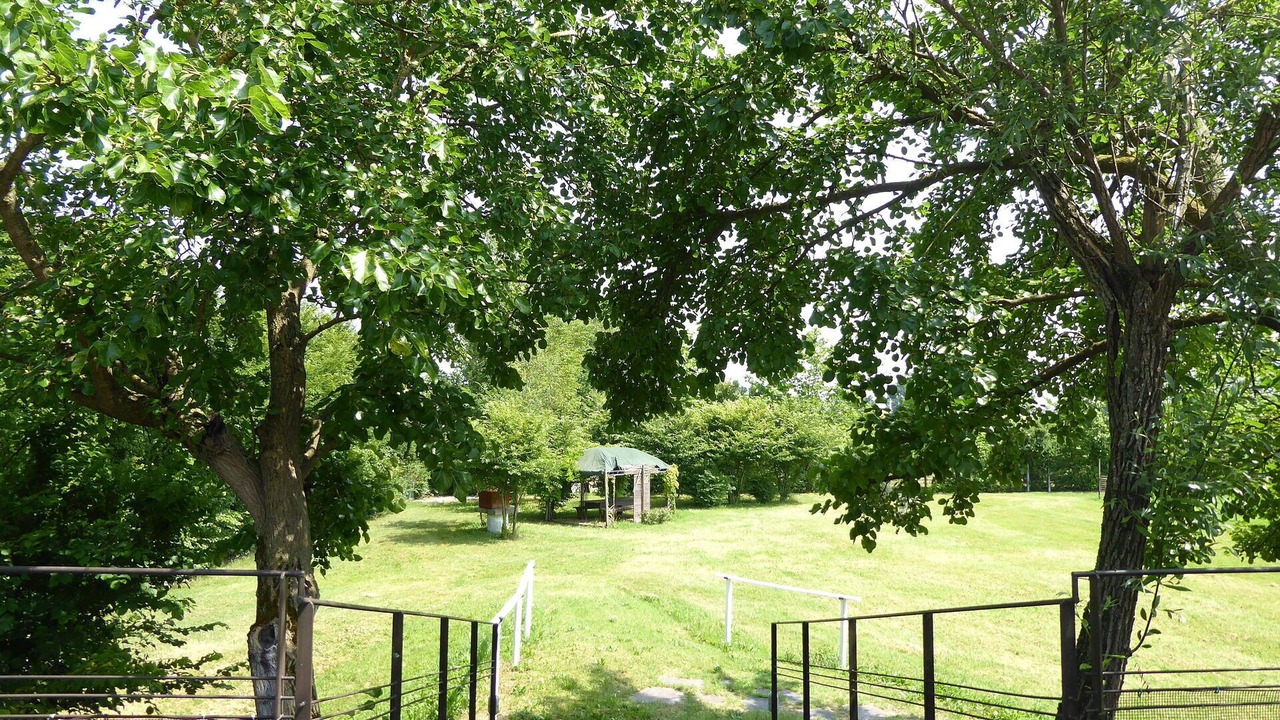 Photo of Outdoor in Silea